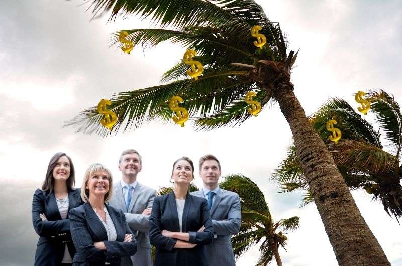 investors under palm tree
