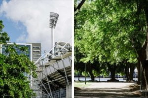the gabba stadium and a park